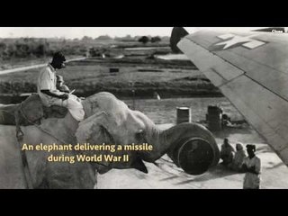 Rare Indian Photographs