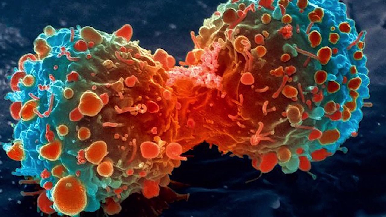 Wie wird man DIKTATOR (BerufswÃ¼nsche fÃ¼r morgen)