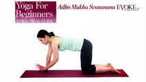 Downward Facing Dog (Adho Mukha Svanasana) | Yoga for Beginners | EVOKE.ie