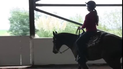 Horse & Hound gives reining a go