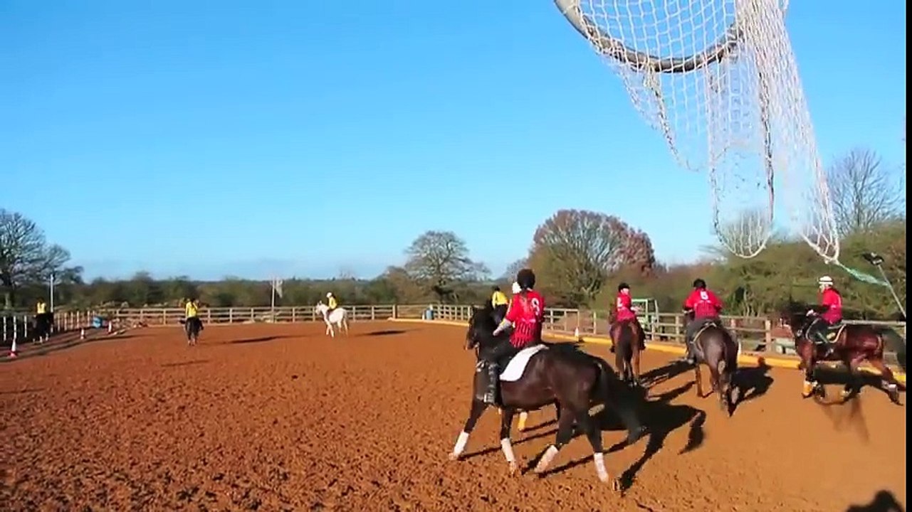 Horse & Hound plays horseball