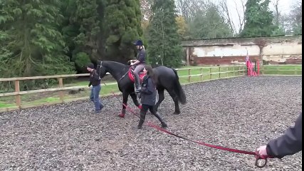 Horse & Hound tries stunt riding