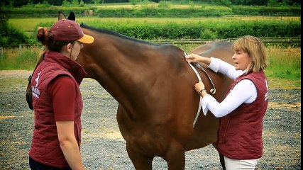 Horse & HoundSaracen training bursary feeding the event horse