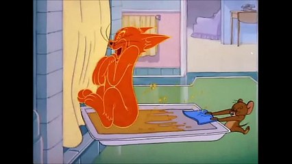 Tom and Jerry, 39 Episode - Polka-Dot Puss (1949)