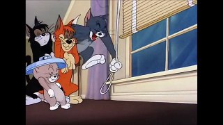 Tom and Jerry, 48 Episode - Saturday Evening Puss (1950)