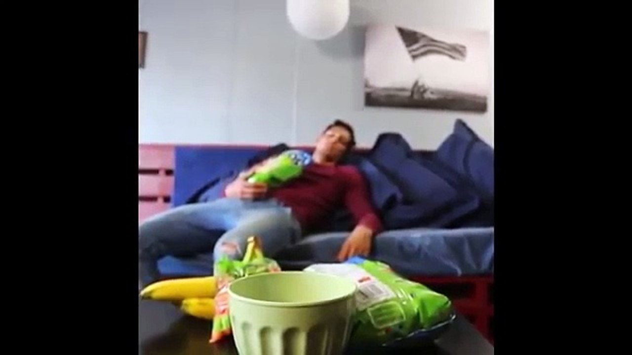 Videos De Risa De Gatos 2015 - Videos Chistosos Gatos - Para Morirse De La Risa - Dailymotion