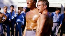 Cool Hand Luke Symbolism