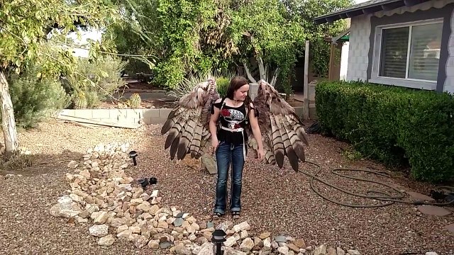 Articulated mechanical wings/ Asas articuladas mecânicas