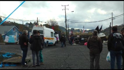 Chiloé no renuncia a protestas y Greenpeace exige transparencia al Gobierno chileno