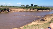 Coccodrilli attacco zebre che attraversano il fiume Mara in Kenya