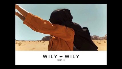 Ghali - Wily Wily 🎶 Lyrics Video | Official Song with Meaning