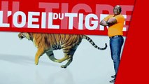L'oeil du tigre 10 mai 2016 Statistique de Yékini Jr