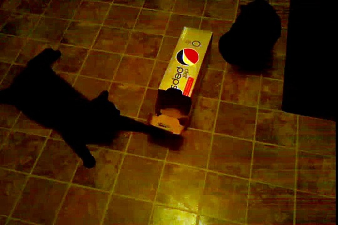 video-2010-06-17-04-42-23