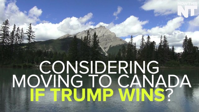 Dating Site Would Connect Canadians With American Trump Refugees