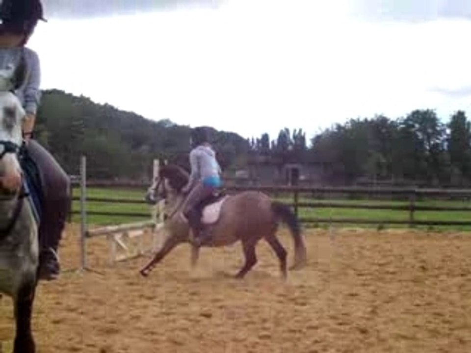 Dernier mercredi de cheval à Louvres