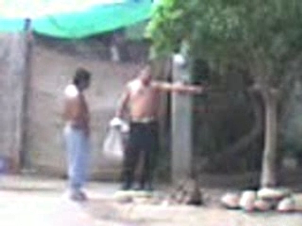 pelea