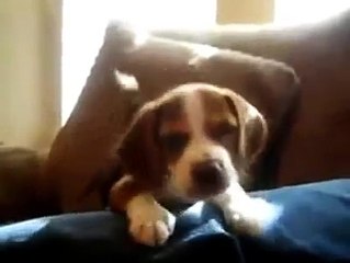 천안출장 마사지최저가 【OlO,↔21⑥⑤,↔2776】 남자의로망 천안출장안마