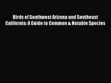 PDF Birds of Southwest Arizona and Southeast California: A Guide to Common & Notable Species