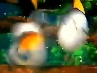 joyeux anniversaire  cathy bisous de nounours blon et mi