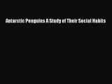 Download Antarctic Penguins A Study of Their Social Habits  Read Online