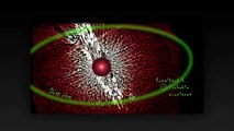 Alien Sightings Real  Video Clips | Shattering Alien Planets | Alien  Sightings Latest