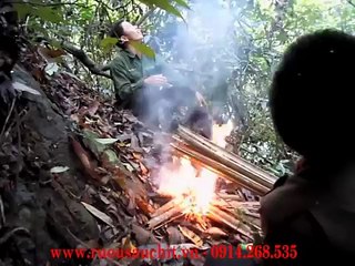 Săn mật ong rừng Tây Bắc