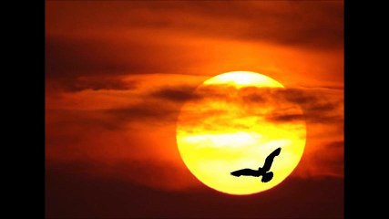 Maurice Fanon Un jour je m'en irai, en direct des ''TOURRETTES '' dans la Drome