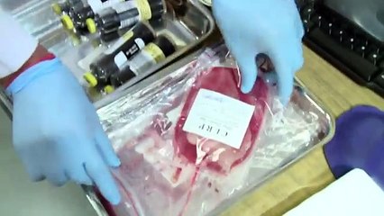 Cord Blood Stem Cell Banking in India