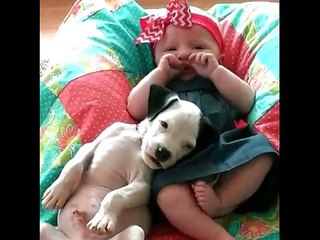 Il Primo Anno di Vita Insieme - La Storia di una Bimba e il Suo PitBull