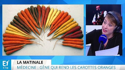 Le gène qui rend les carottes oranges découvert