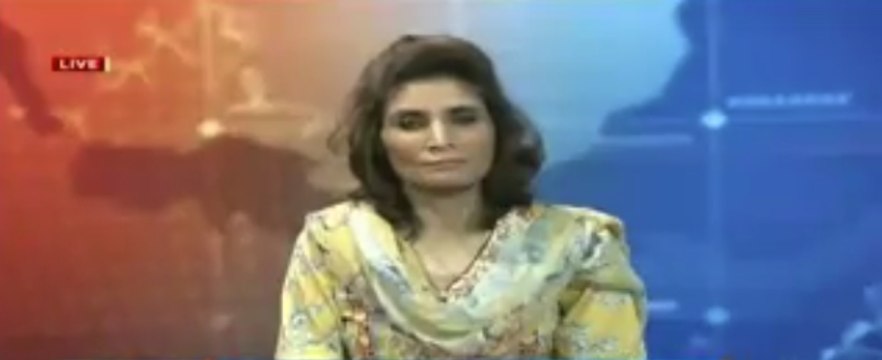 Andleeb Abbas on 2nd Panama Leaks