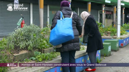 Le Projet Grand Bellevue