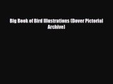 [PDF] Big Book of Bird Illustrations (Dover Pictorial Archive) Download Full Ebook