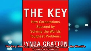 READ book  The Key How Corporations Succeed by Solving the Worlds Toughest Problems Full EBook
