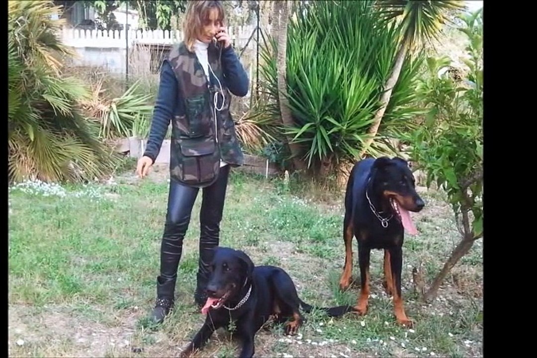 ma si jolie indy je t'aime