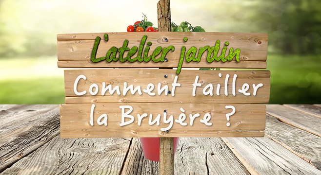 Comment tailler la bruyère ?