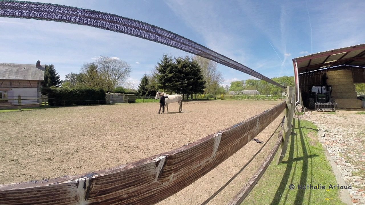 Séance Grat-grat avec Farruco