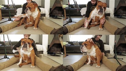 Il fait du beatboxing sur son chien