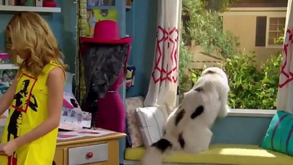 Dog With A Blog 3x9 - Dog On A Catwalk