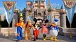 Top 5 Facts About Disney Theme Parks