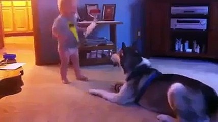 Cute baby playing with his dog:
