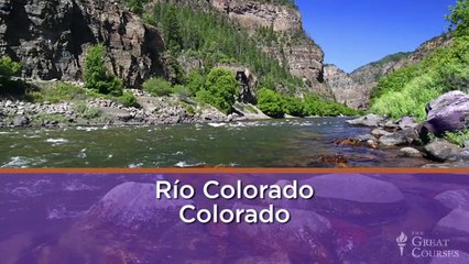 14 'Ver', 'Dar', and Other Irregular Verbs