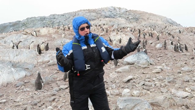 Un tenor d'opéra chante... et fait fuir tous les manchots !