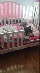 Nella camera del bimbo c'è un silenzio insolito così la mamma indaga e scopre questo...