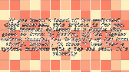 Superfood: Chaga Mushroom