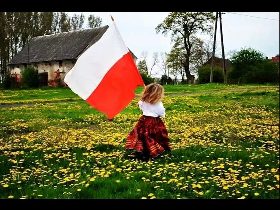 NSZ-NZW