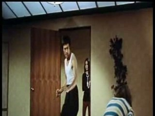 Bruce Lee The Dragon In His World