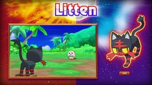 UK- Starter Pokémon for Pokémon Sun and Pokémon Moon Revealed!