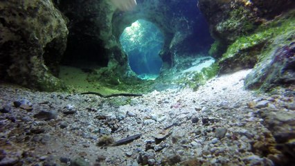 Superbe plongée dans des cavernes sous-marines en Floride