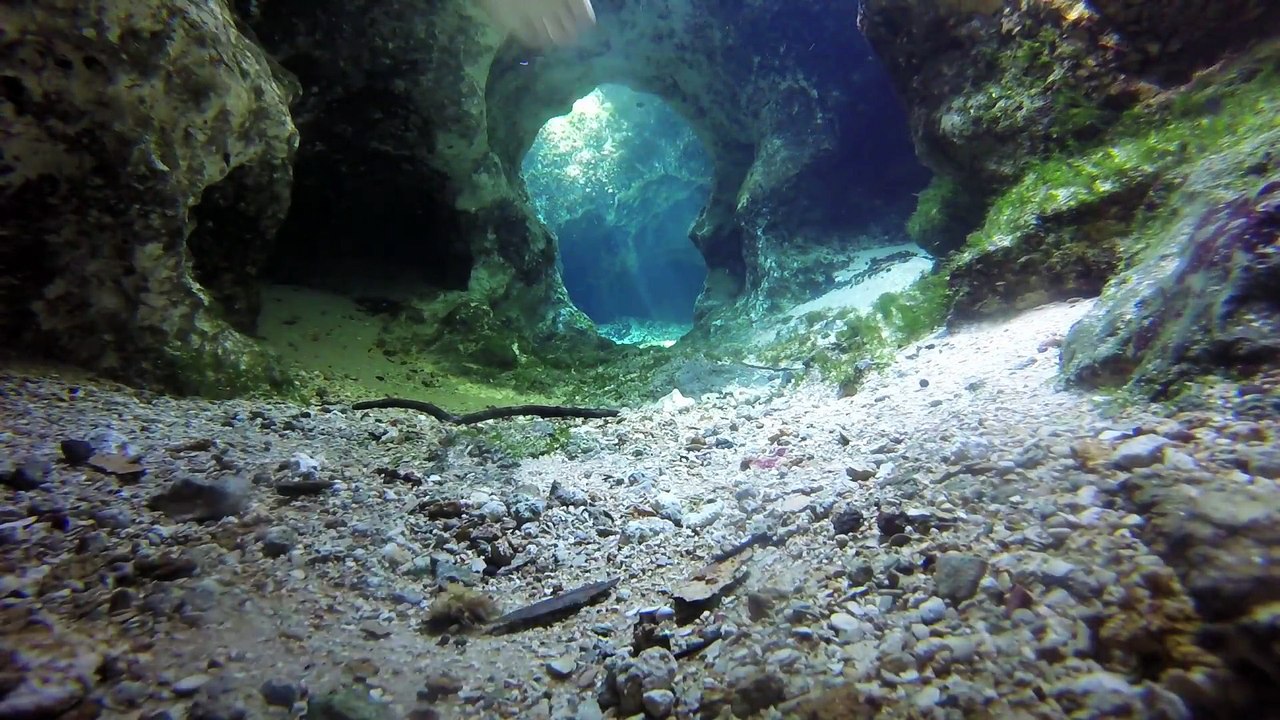 Superbe plongée dans des cavernes sous-marines en Floride